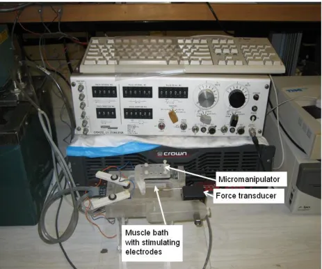 Figure 3.1 Contractile machine setup used for stimulation protocols 