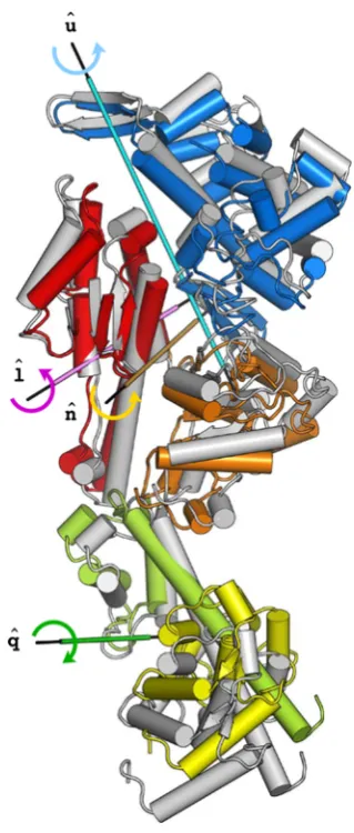 Figure 9. The rigor-like to NMSM post-rigor conformationaltransition.text) is shown in grey