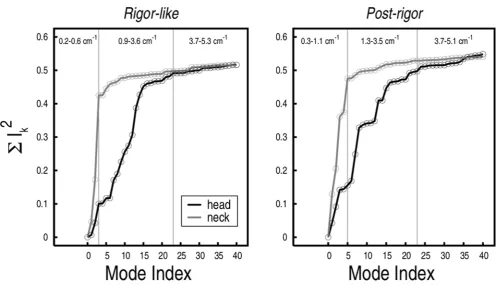Figure 5. Involvement coefficients specialized for the rigor-like/post-rigor transition of the head domain and the neck region