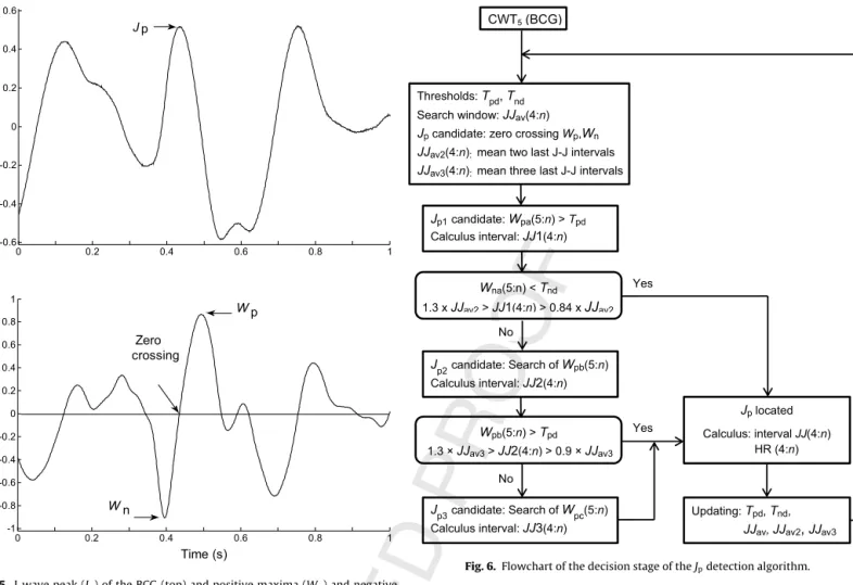 Fig. 5. J-wave peak (J p ) of the BCG (top) and positive maxima (W p ) and negative minima (W n ) of the CWT at scale 5 of the BCG (bottom).