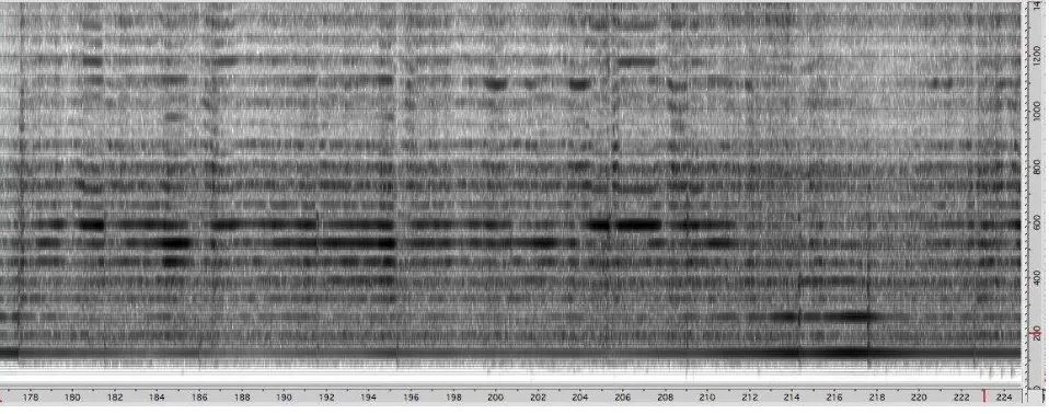 Figure 1: Spectrogram of cello C-string showing subsets of isolated partials. 