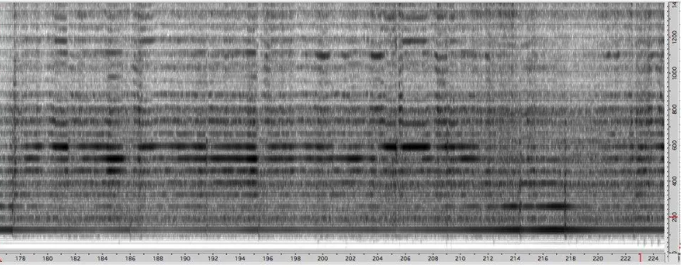 Figure 1: Spectrogram of cello C-string showing subsets of isolated partials. 