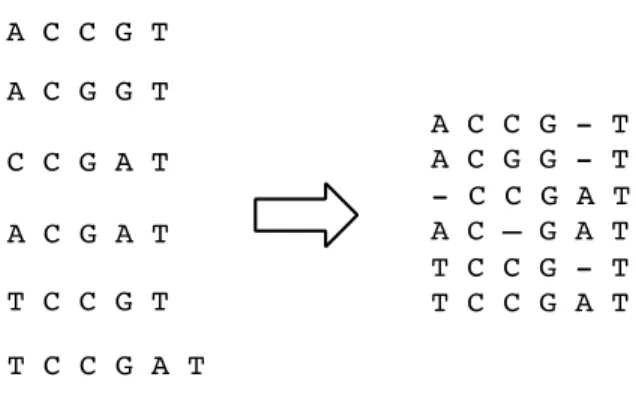 Figure 6. Insertion of blank spaces can be necessary to align sequences with each other