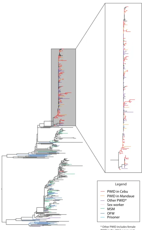 Figure 7 .  Best maximum likelihood (ML) phylogenetic tree of all 395 sequences in the Philippines  with 1,000 bootstrap replicates