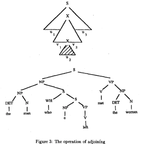 Figure 1: Initial Trees 