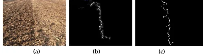Figure 3. The edge dealing. (a) Original; (b) Edge information; (c) Processed edge information.
