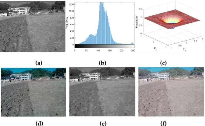 Figure 11. The process of the strong light intensity image using Homomorphic Filtering algorithm.(a) Grayscale; (b) Grayscale histogram; (c) Frequency response of the high pass filter; (d) Butterworth high pass Filtering; (e) Median Filtering; (f) Homomorp