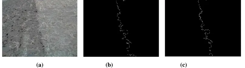 Figure 3. The edge processing comparison. (a) Original; (b) Edge information; (c) Processed edge information