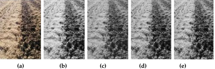 Figure 7. Component graph of each other space. (a) Original; (b) Cr; (c) V; (d) I; (e) 2R-G-B