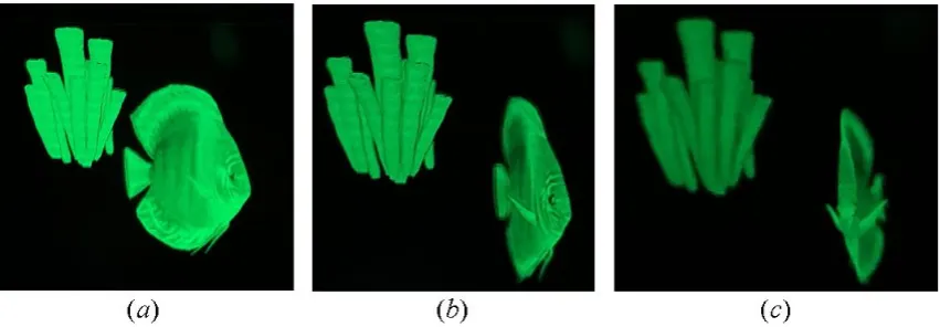 Figure 8. Optical reconstructions of second 3D model: (a) both in focus; (b) coral in focus; (c) fish in focus