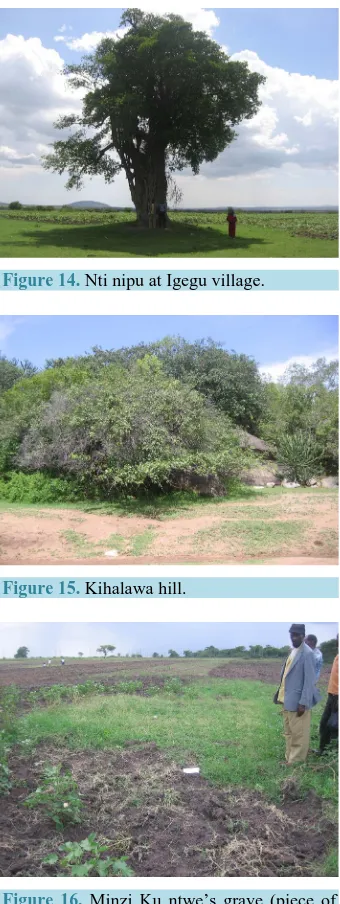 Figure 16. Minzi Ku ntwe’s grave (piece of land with grasses). 