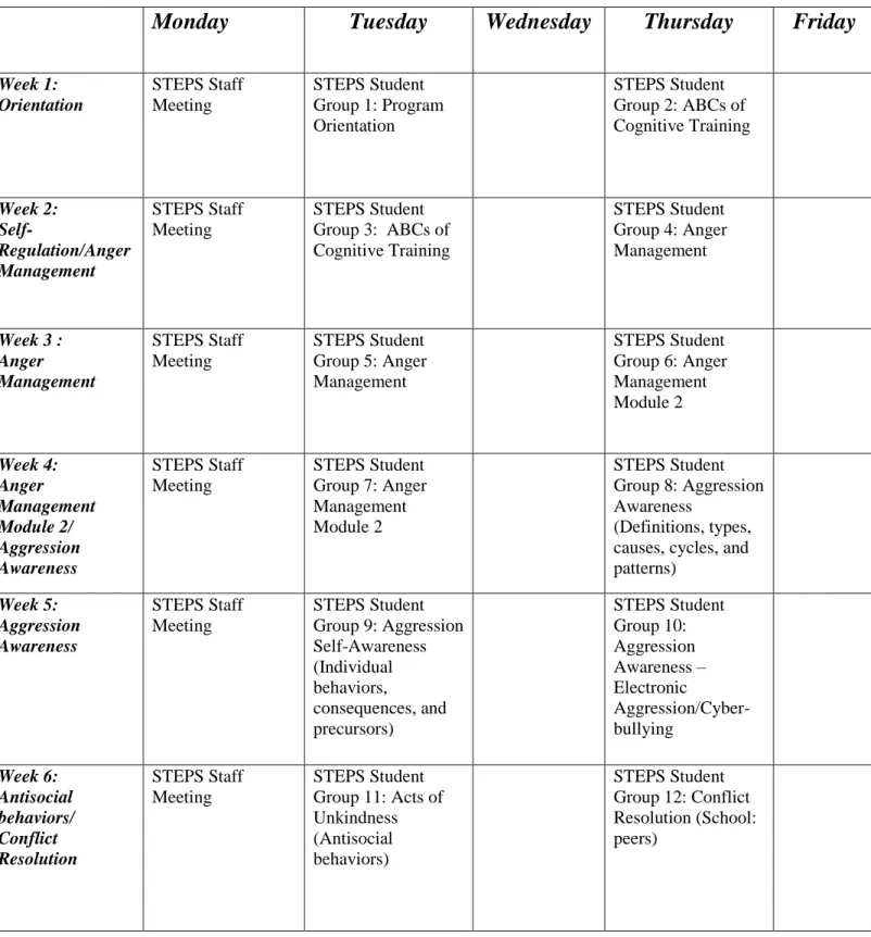 Table 1:  Sequence of STEPS Program Sessions 