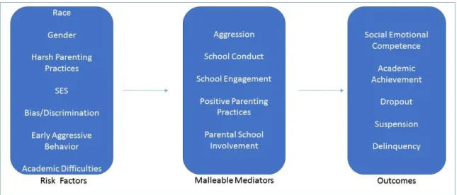 Figure 1:  STEPS Program Problem Theory 