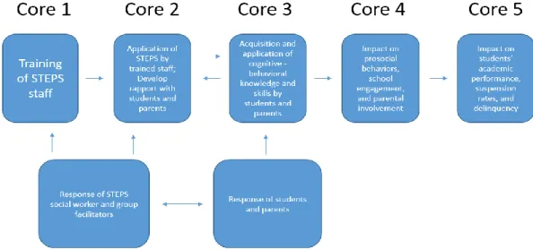 Figure 2:  STEPS Theory of Change 
