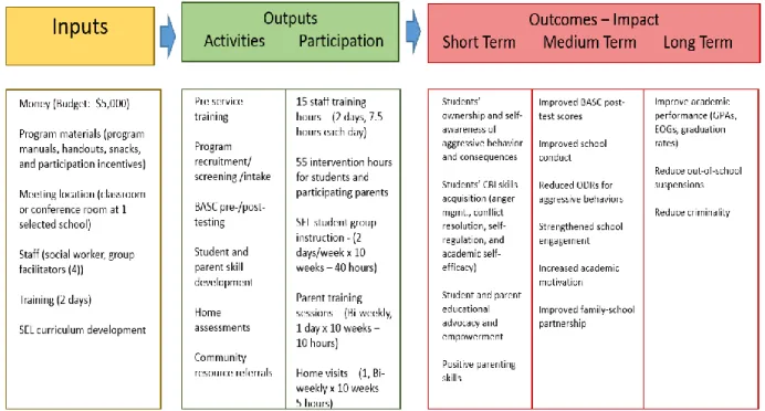 Figure 3:  STEPS Program Logic Model 