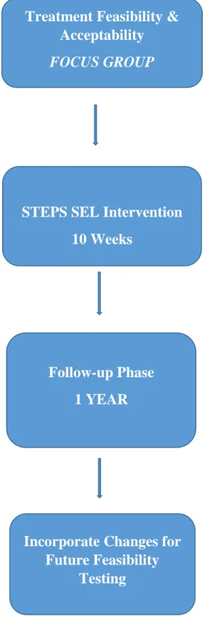 Figure 5:  Research Design of Larger Study 
