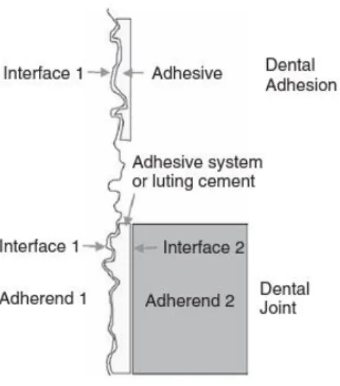 Figure  1.1:  Definitions  of  The  Terminology  Associated  with  Adhesive  Systems  (Adhesive,  Adherends or Substrates and Interfaces)