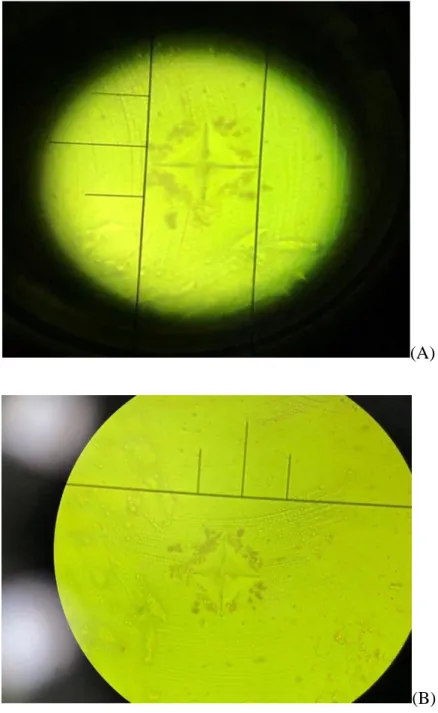 Figure 1.3: (A, B) Illustrations of Indentations Left on the Surface Under the Microscope