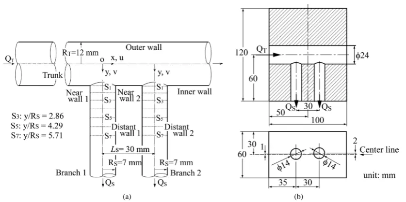 Figure 1. (a) Schematic and labeling of axi-alinged side branches cross-section in a double T-junction; (b) Sche-matic of side and top views of skewed branches in a double T-junction