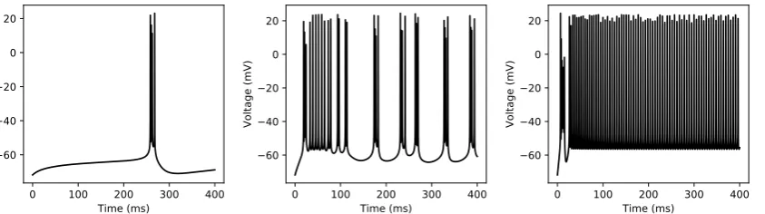 Figure 5. Diversity in the spiking patterns of hippocampal CA1 pyramidal neurons to applied currents.(a) Regular bursting in response to the external current of 0.23 nA