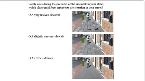 Fig. 2 Example of how environmental perceptions were assessed