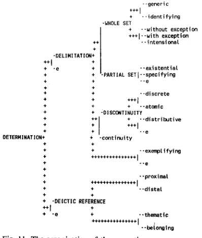 Fig. 11 The organization of the semantic features of determination 