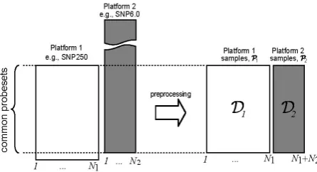 Figure 1. The overall objective is to produce a platform- independent dataset =[ 12], for other analyses, e.g., copy number analysis