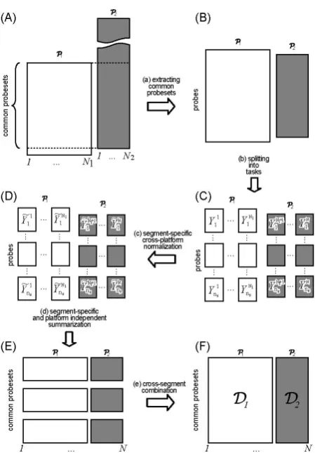 Figure 2. Approach overview. (a) Extracting the common probesets. Note that in the resulting datasets, since SNP6.0 has fewer probes per probeset, it is purposely made to have shorter vertical axis; (b) Splitting the computational task into smaller units, 