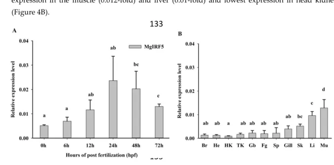 Figure  4.   Relative  mRNA  expression  levels  of  MgIRF5  transcripts  in  developmental  stages  and 