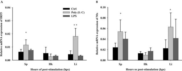 Figure 5. Relative mRNA expression level of IRF5, Mx mRNA in spleen, kidney and liver by (A) poly 
