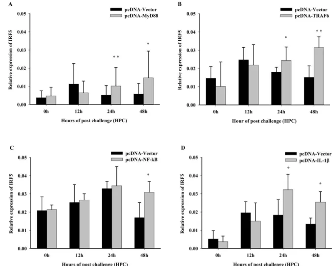 Figure 6. Relative mRNA expression level of the immune gene in different tissues from M