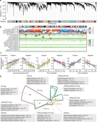 Figure 2. Network analysis resolves co-expression modules. (