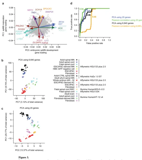Figure 3. Principal component and network analyses reveal key spMN maturation and embryonic 