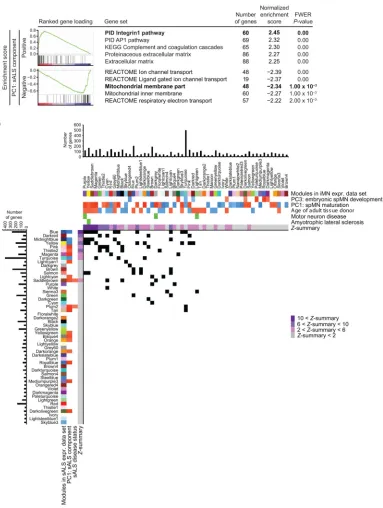 Figure 5. spMN maturation and age modules are dysregulated in sporadic ALS. (