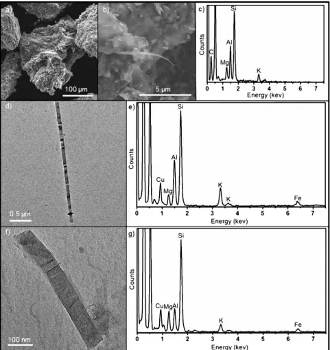 Fig. 5. Surface phases from rock altered in ENFG: (a) Silicate grain coated with secondary Mg–(Al)–(K)–silicates, (b) detail of the silicate grain coating exhibiting ‘sheet-like’and elongate needle morphologies (c) EDX spectrum collected via SEM of coating in b, (d) Mg–Al–K–silicate elongate rod, (e) EDX spectrum collected via TEM correlating tophase shown in e, (f) Mg–Al–K–silicate short rod and (g) EDX spectrum collected via TEM correlating to phase shown in f.