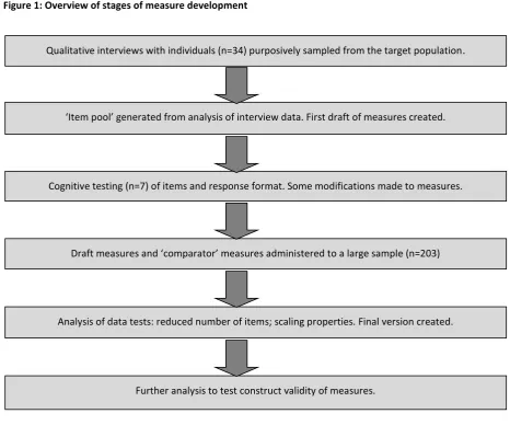 Figure 1: Overview of stages of measure development 