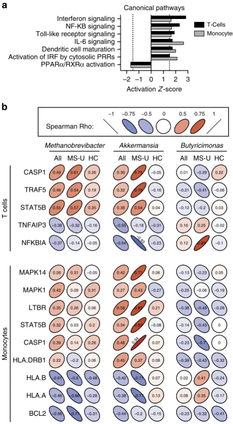 Figure 3 | Correlations between microbiota abundances and immune
