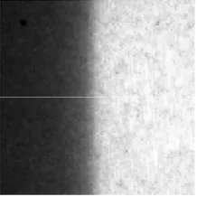 Figure 2. The experimentally obtained edge fluorescence image. 