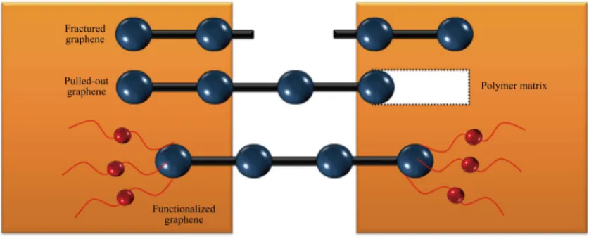 Figure 9. Graphene-polymer interfacial interactions: either C-C covalent bond breaks or graphene pull-out takes place