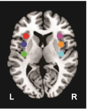 Figure 1 displays the six seed regions used for functional connectivity analyses. SeedFigure 1