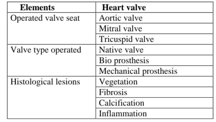 Table  2:  Elements  of  a  histological  report  of  heart 