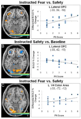 Fig. 1. Lateral orbitofrontal cortex and V4 color area activations correlated to persecutory delusion 