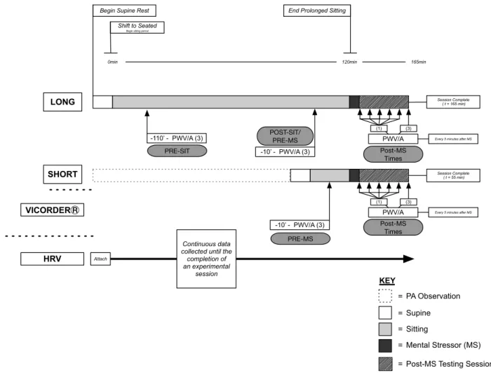 FIGURE 2. Experimental protocol. First experimental condition for all participating 