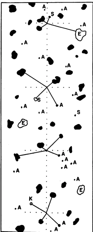 FIGURE 2. Data form used to record each sampling field sampling. Four measurements are made in unit