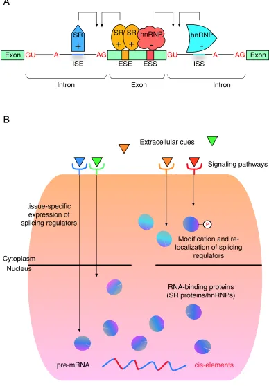 Figure 1-4 (Continued). 