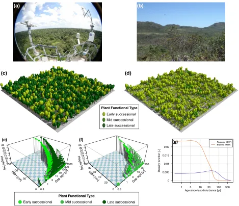 Figure 1.3: Overview on how the size and age structure represents different biomes, (a) Paracou(GYF), a tropical rainforest site in French Guiana, and (b) Brasília (BSB), a woody savannah siteat the Cerrado region in Brazil