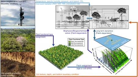 Figure 2.3: Schematic of the integration between forest inventory data, meteorological condi-tions, and the different modules in ED-2.2