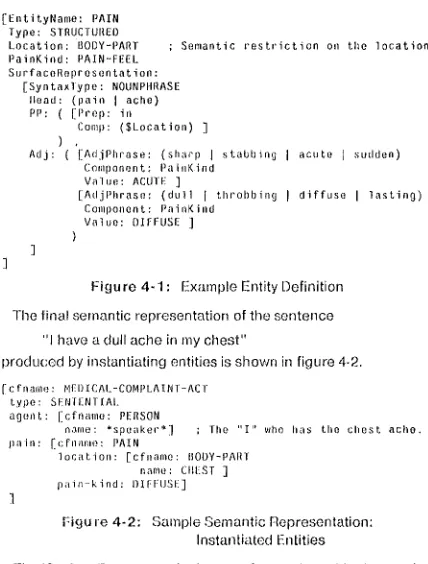 Figure 4-1 : Example Entity Definition 