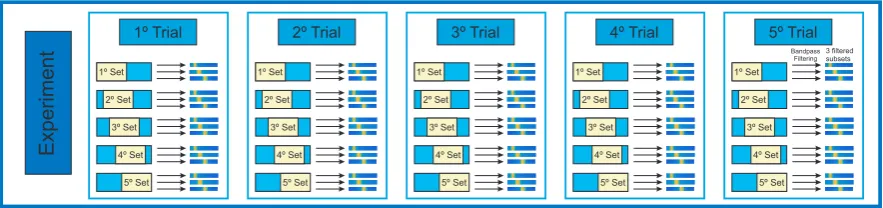 Figure 5. The schematic of a database for one experiment.