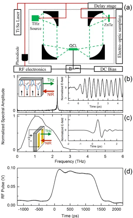 FIG. 1. (a) Schematic of the experimental apparatus. Red lines are 80 fsNIR-pulses with a center wavelength of 800 nm, an 80 MHz repetition rate,and an approximately 1W of average power